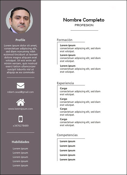 plantilla currículum auditor contable
